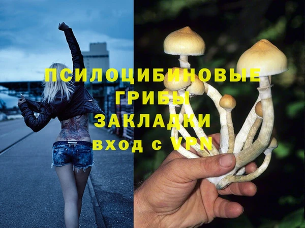 apvp Касимов